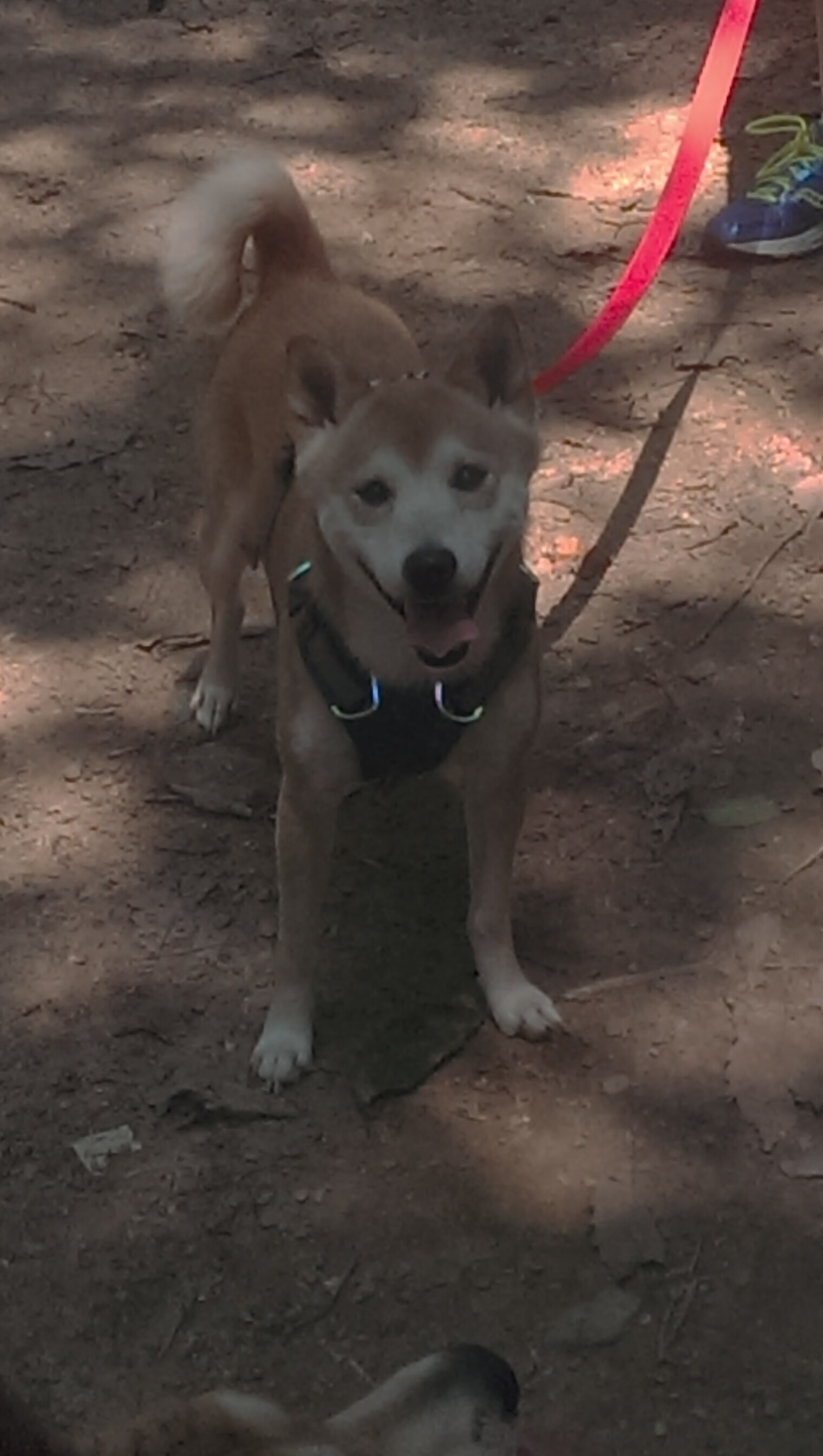 开云入口-_勇士战术升级，赢得关键比赛_，勇士 战术