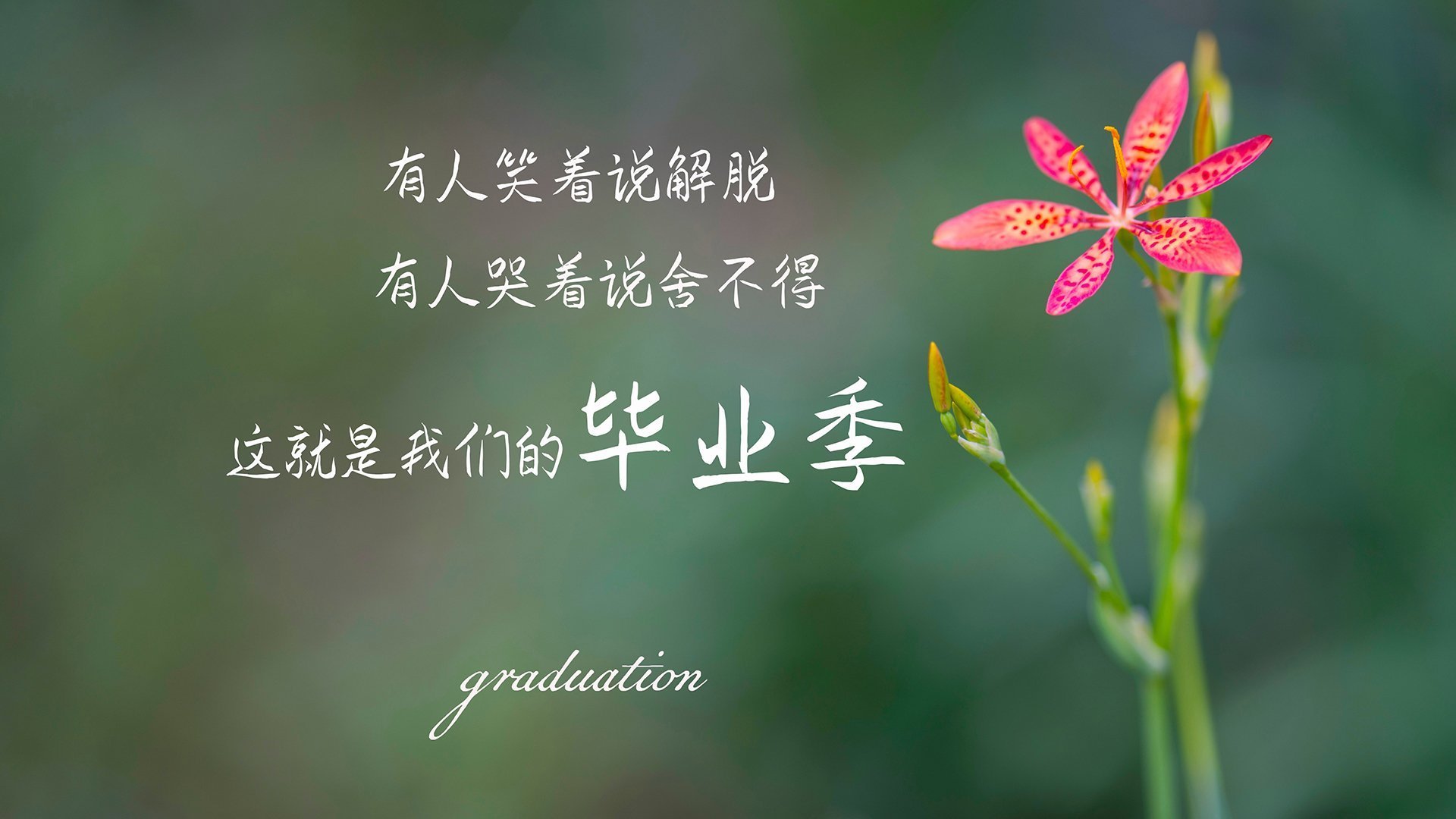 开云·体育官网-_极地冰川徒步:探索白雪皑皑的冒险之旅_,极地冰川主要在哪里