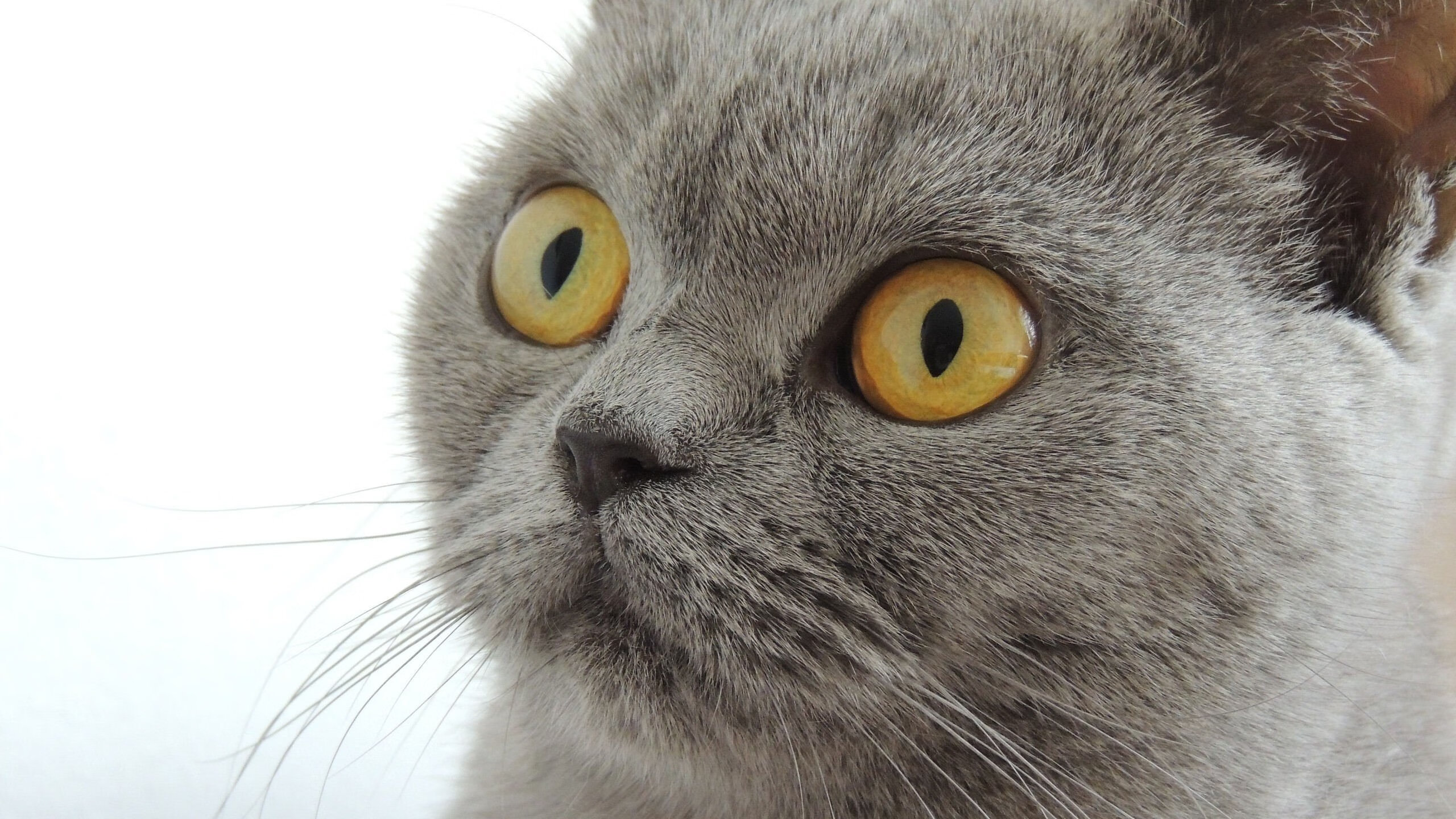 开云网站-“未来青训”愿景逐步实现，数字化、智能化成为行业发展标配