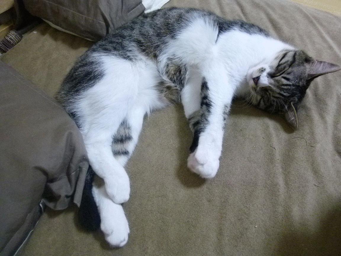 Kaiyun APP-台球运动员跨界合作，推出联名款配件，台球签约球员