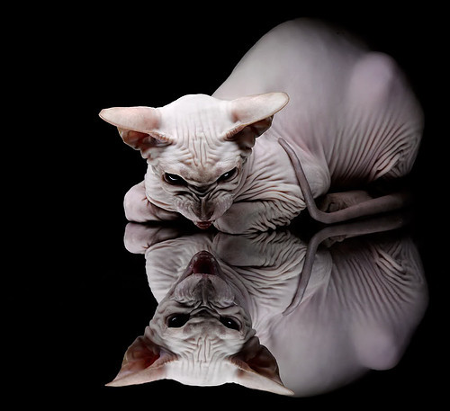 开云官方网页登录-哥伦比亚女足在巴黎奥运会上展现出强大的团队协作能力，哥伦比亚男足主帅