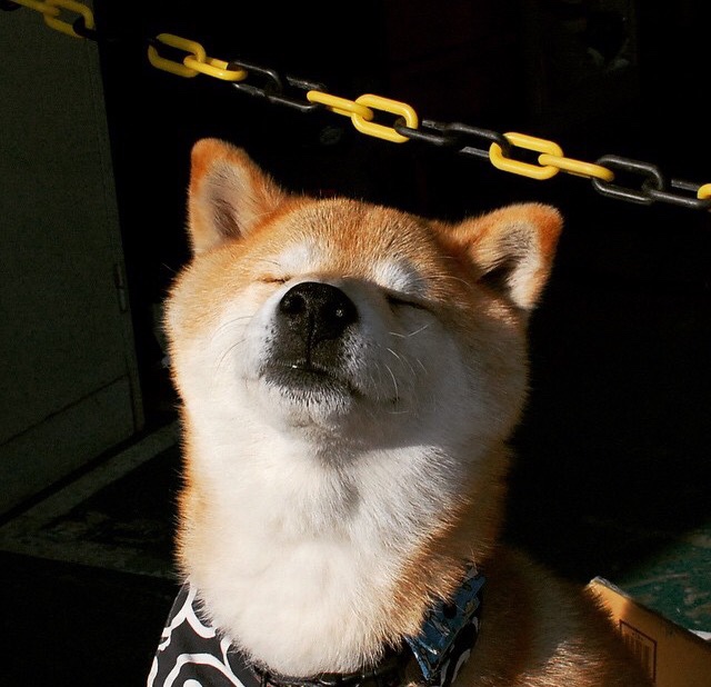 开云网站-电竞赛事选手转会市场活跃,电竞选手转会期