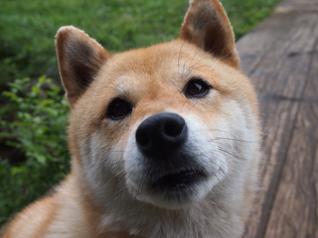 kaiyun官方入口登录-英超榜首之争：切尔西、阿森纳焦灼战平，追赶者迎头赶上，切尔西0-1阿森纳