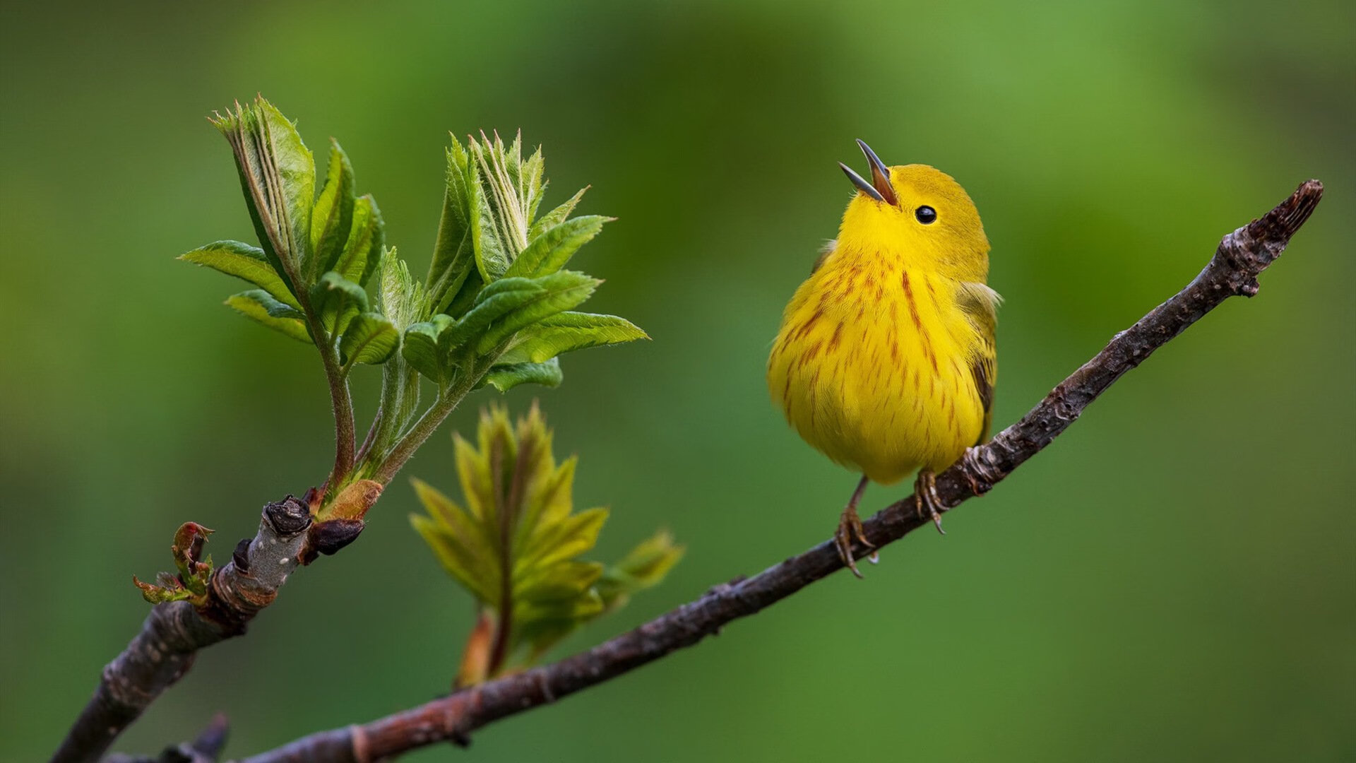 Kaiyun APP-国内女子足球锦标赛壮举即将开启，全国女子足球邀请赛