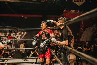 开云·体育官网-NBA球迷互动活动策划,nba球星互动